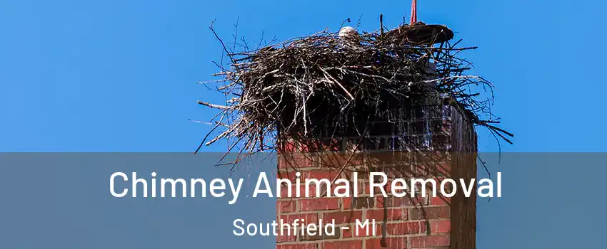  Chimney Animal Removal Southfield - MI