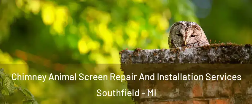  Chimney Animal Screen Repair And Installation Services Southfield - MI