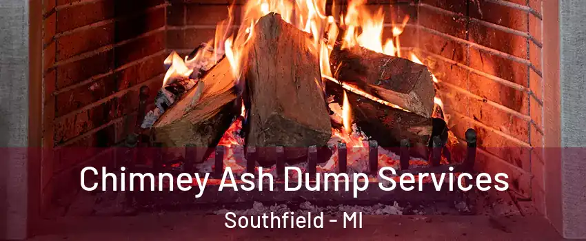  Chimney Ash Dump Services Southfield - MI
