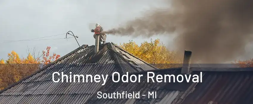  Chimney Odor Removal Southfield - MI