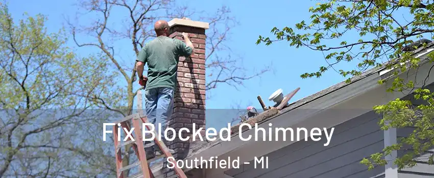  Fix Blocked Chimney Southfield - MI