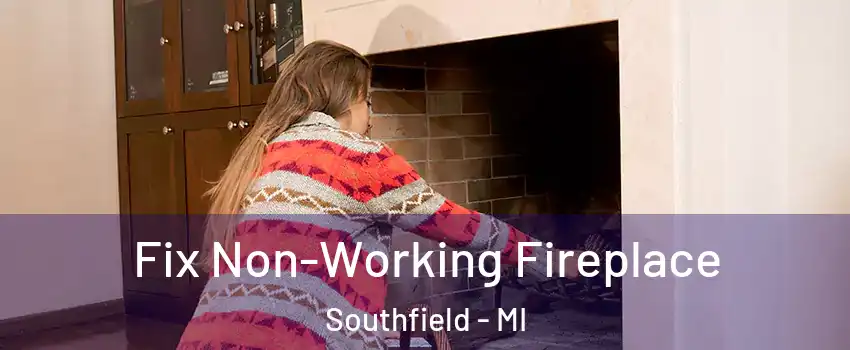  Fix Non-Working Fireplace Southfield - MI