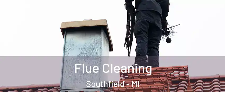  Flue Cleaning Southfield - MI