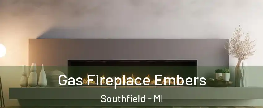  Gas Fireplace Embers Southfield - MI