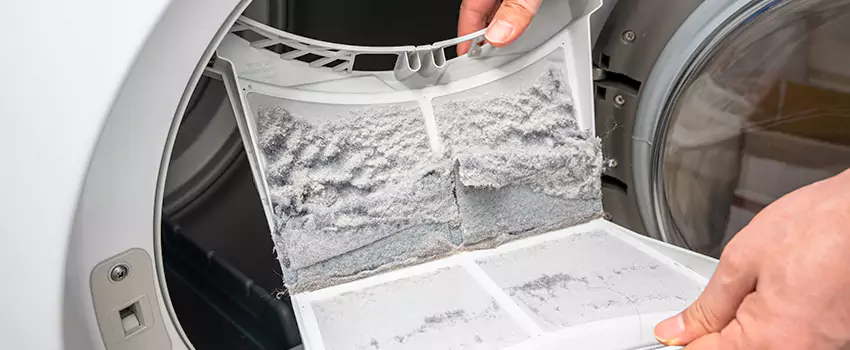 Best Dryer Lint Removal Company in Southfield, Michigan