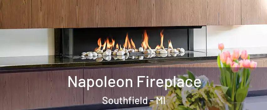  Napoleon Fireplace Southfield - MI